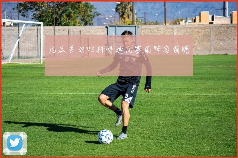 厄瓜多尔vs科特迪瓦赛前阵容前瞻