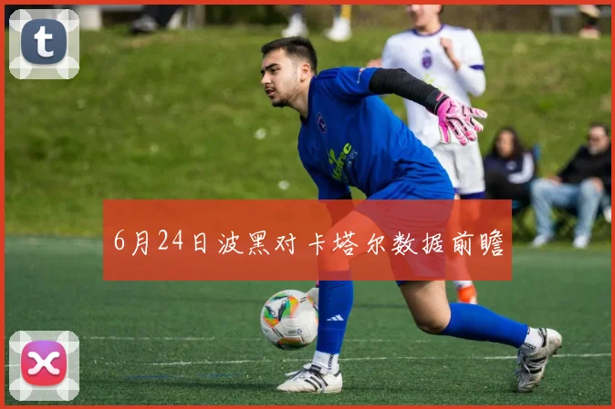 6月24日波黑对卡塔尔数据前瞻