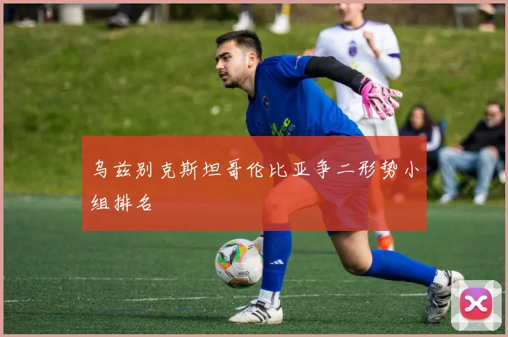 乌兹别克斯坦哥伦比亚争二形势小组排名
