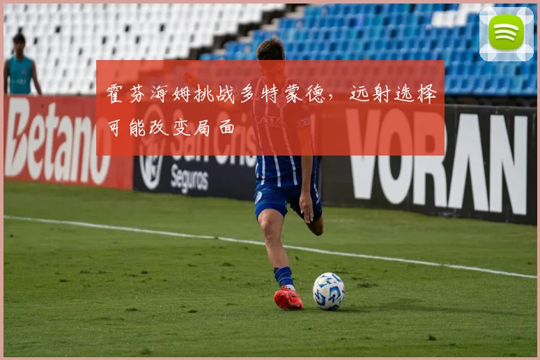 霍芬海姆挑战多特蒙德,远射选择可能改变局面