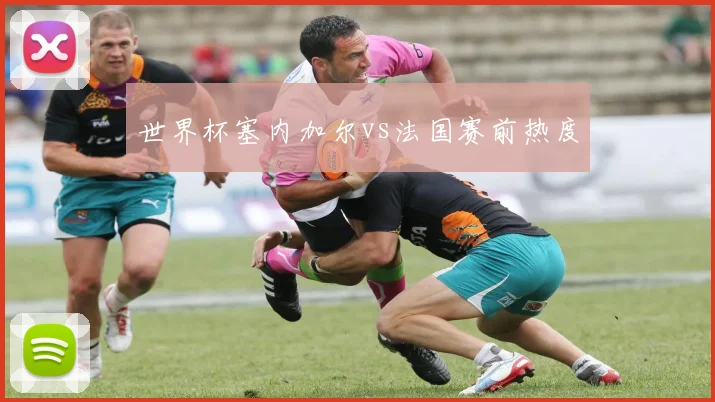 世界杯塞内加尔vs法国赛前热度